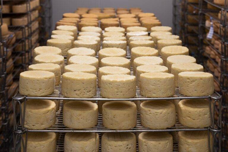 Navigating Regulatory Challenges in Artisan Cheese Production