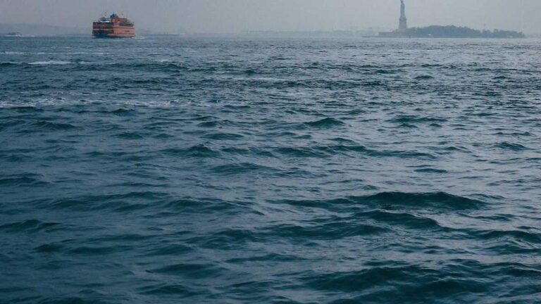 How To Request An 11Xplay Online Withdrawal?